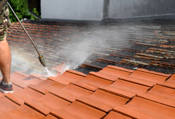 Best Best Pressure Washing Companies  in Bullhead City, AZ